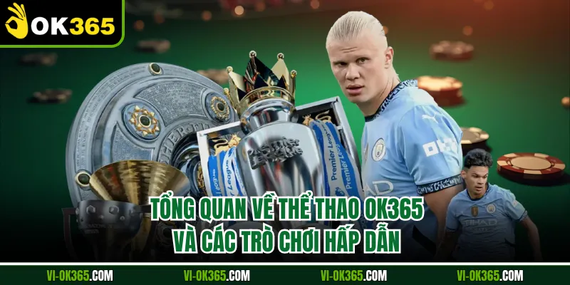 Tổng quan về thể thao Ok365 và các trò chơi hấp dẫn